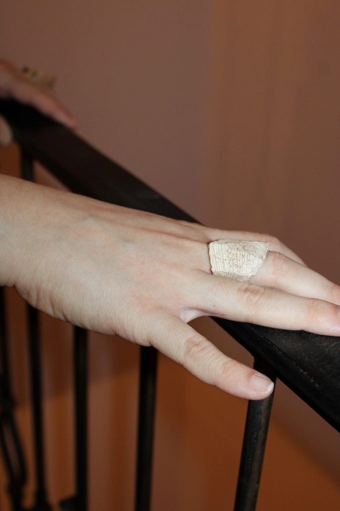 Hòmeros - Unique Piece |Ring|