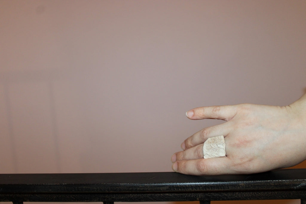 Hòmeros - Unique Piece |Ring|