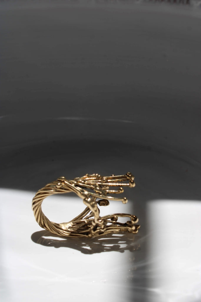 Intueri |ring|