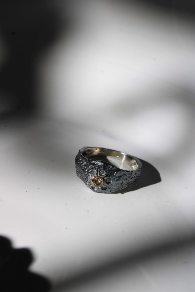 Rodon |Ring|