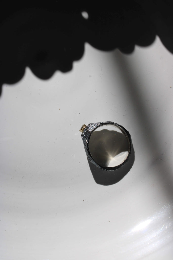 Rodon |Ring|
