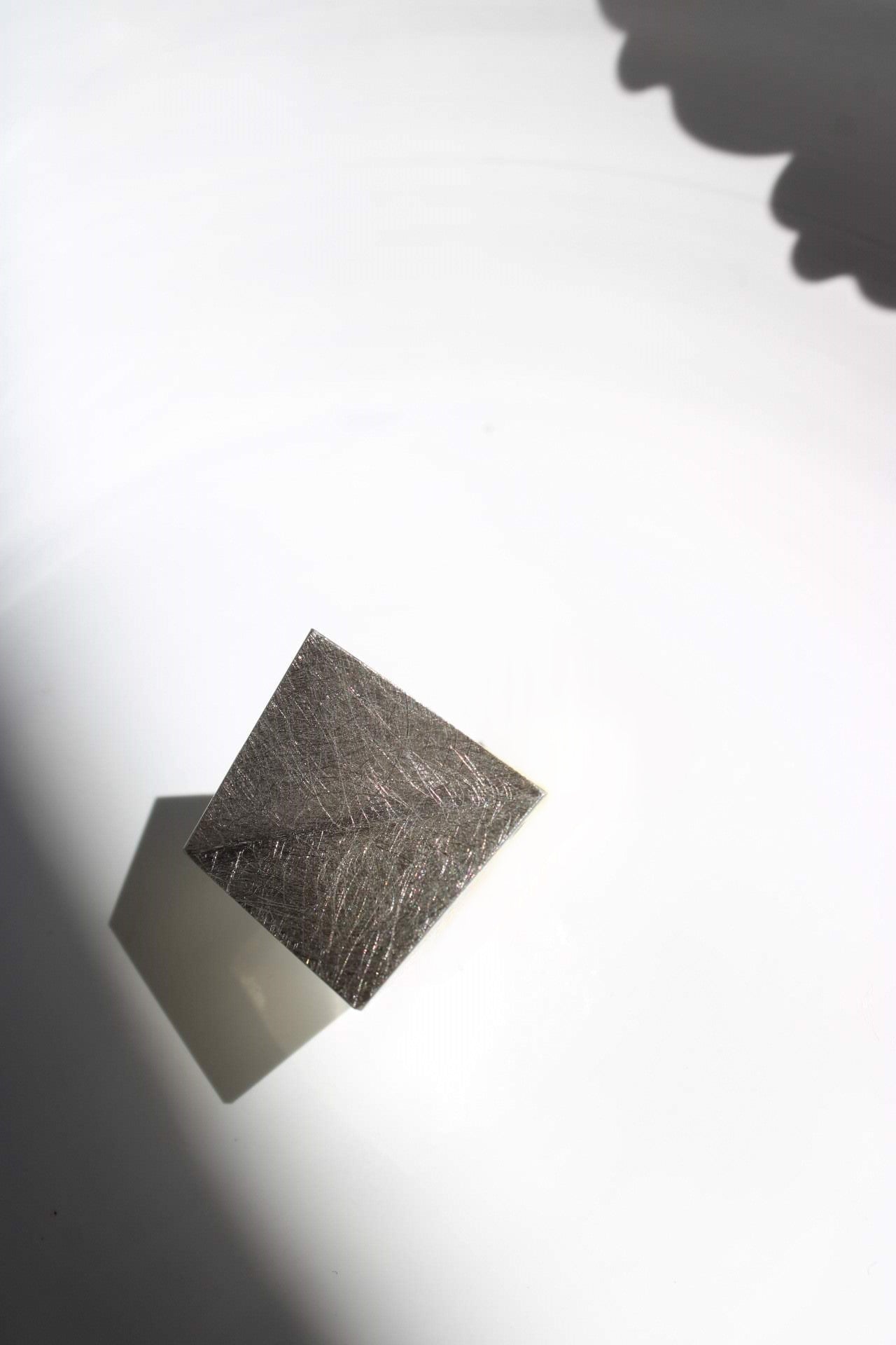 Manta |Ring|