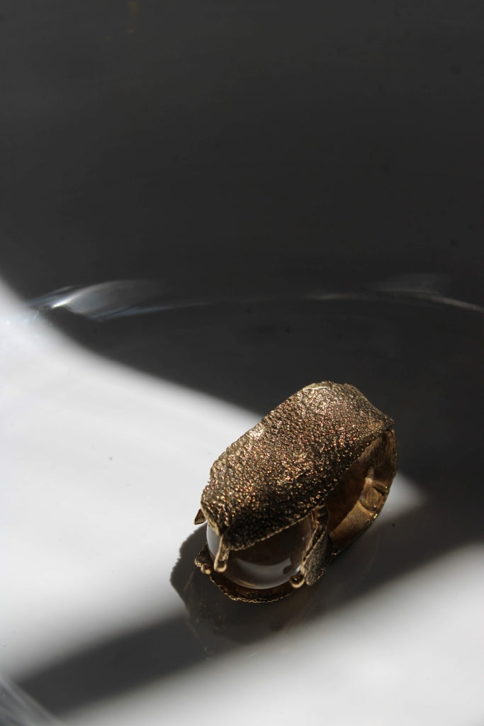 Salviamo-La |Ring|