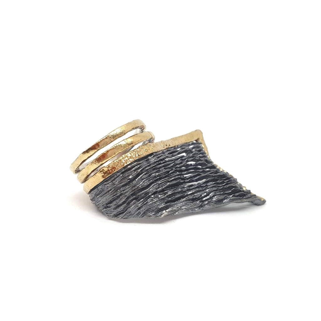 Pteròn |Ring|