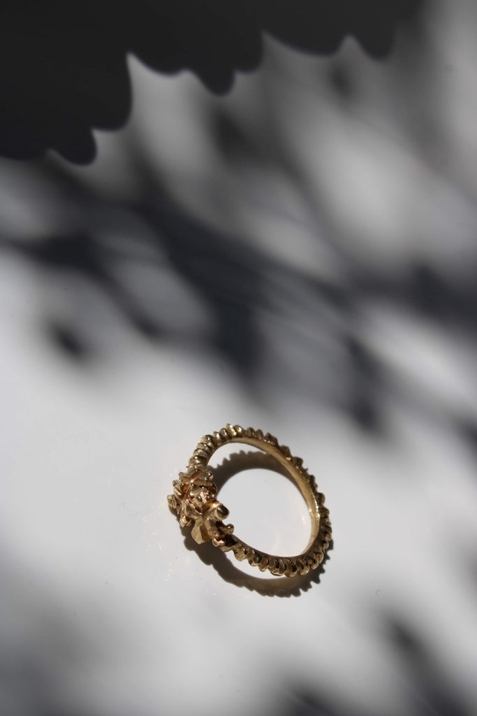 Kongosoha |Ring|
