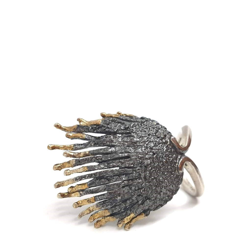 Kochyli |Ring|