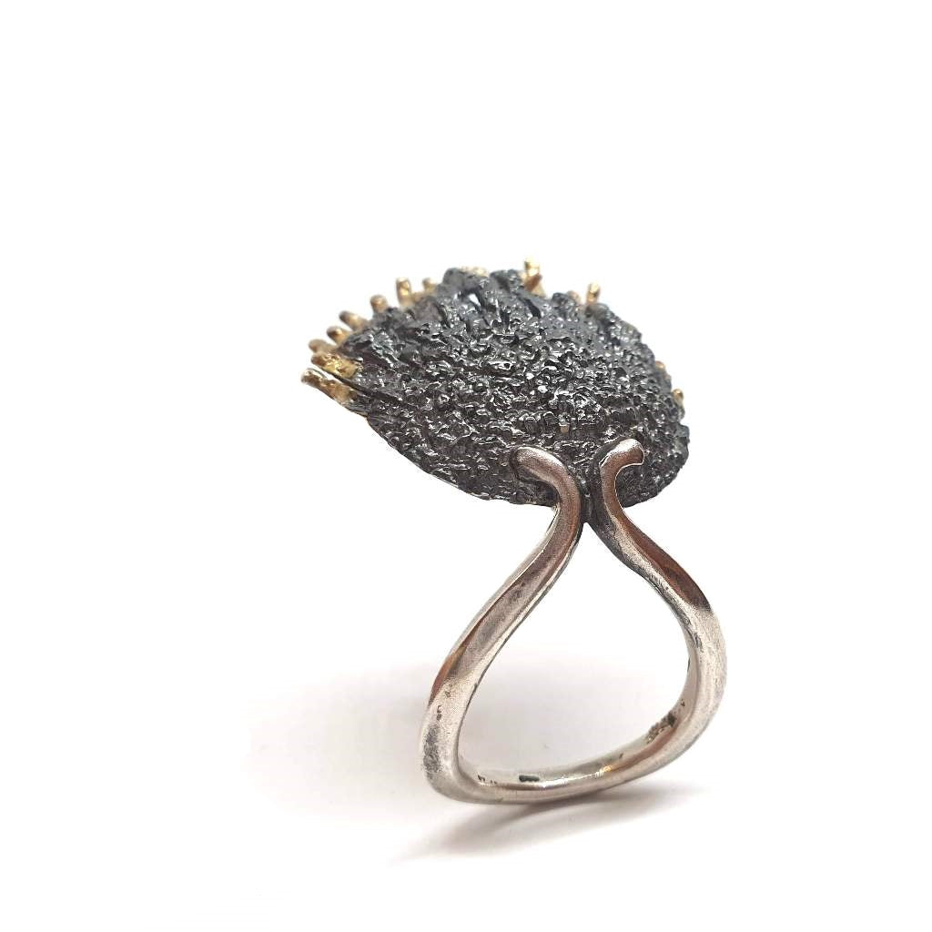 Kochyli |Ring|