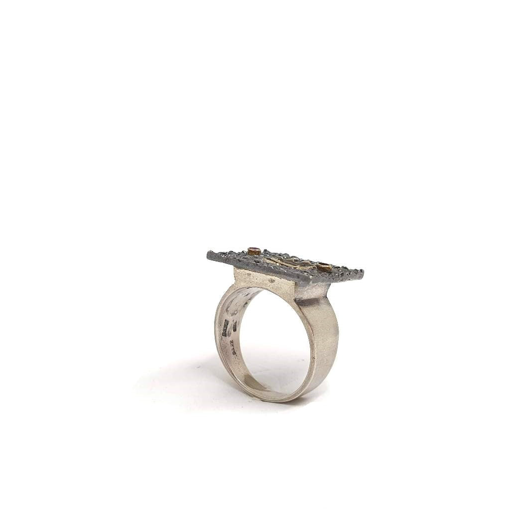 Grande Quadrilatero di Pegaso |Ring|