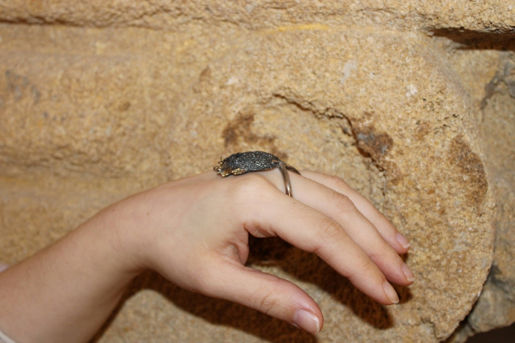 Kochyli |Ring|