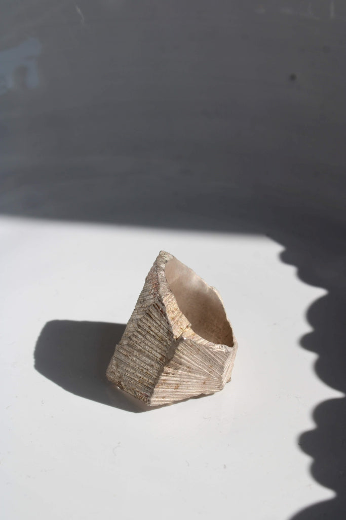Hòmeros - Unique Piece |Ring|