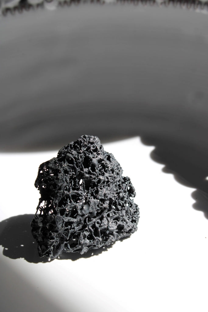 Liquen in Black - Unique Piece |Brooch|