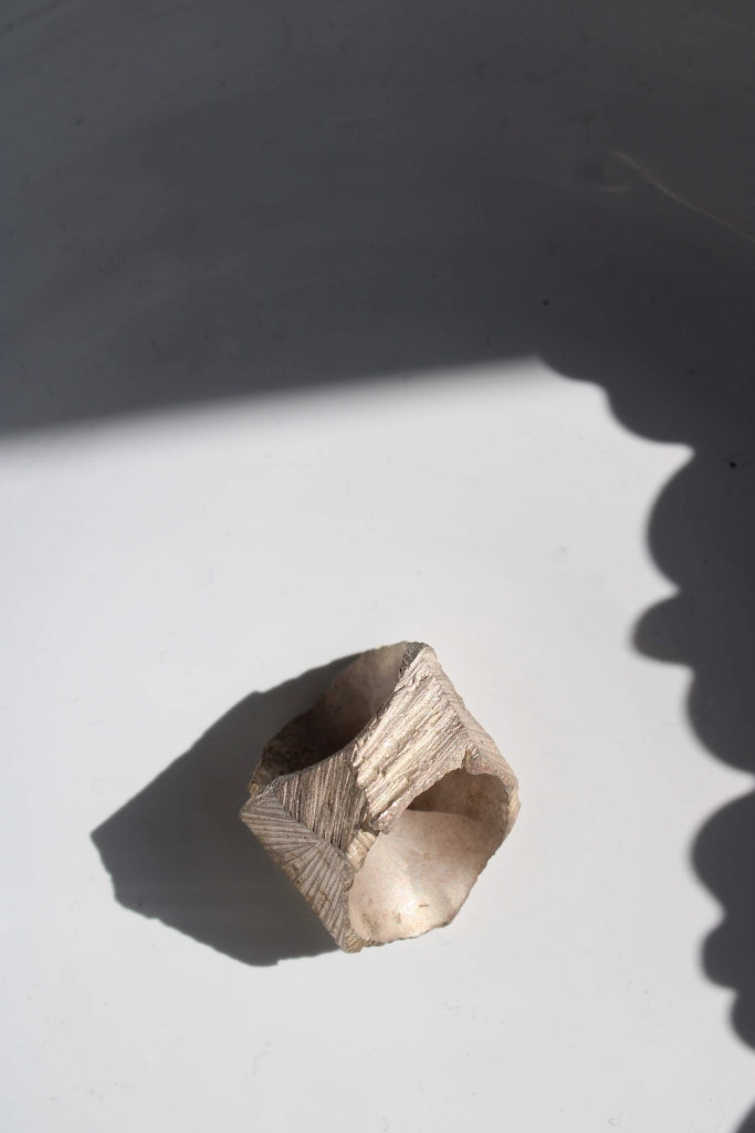 Hòmeros - Unique Piece |Ring|