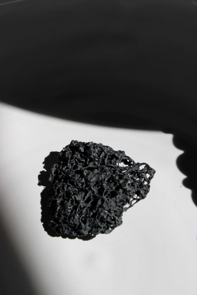 Liquen in Black - Unique Piece |Brooch|