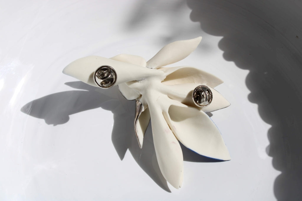 Bird of Paradise |Brooch|