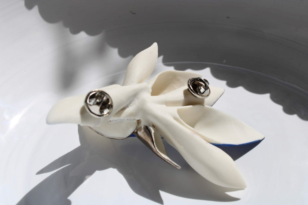 Bird of Paradise |Brooch|