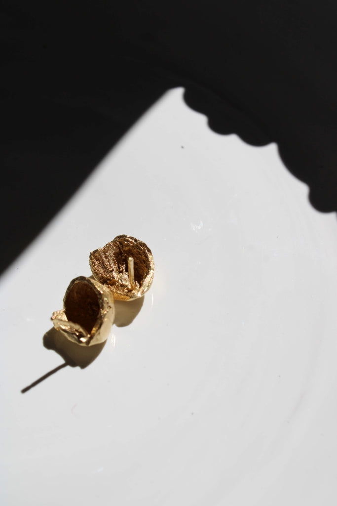 Hazelnut shell - Unique Piece |Earrings|