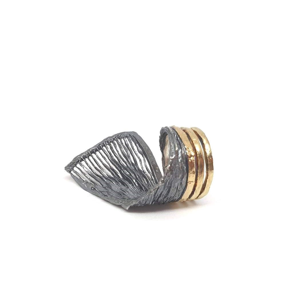 Pteròn |Ring|