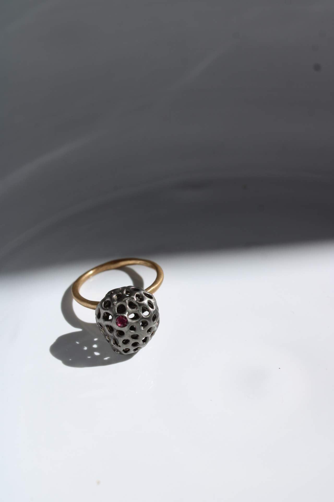 Aria Piccolo with Ruby |Ring|