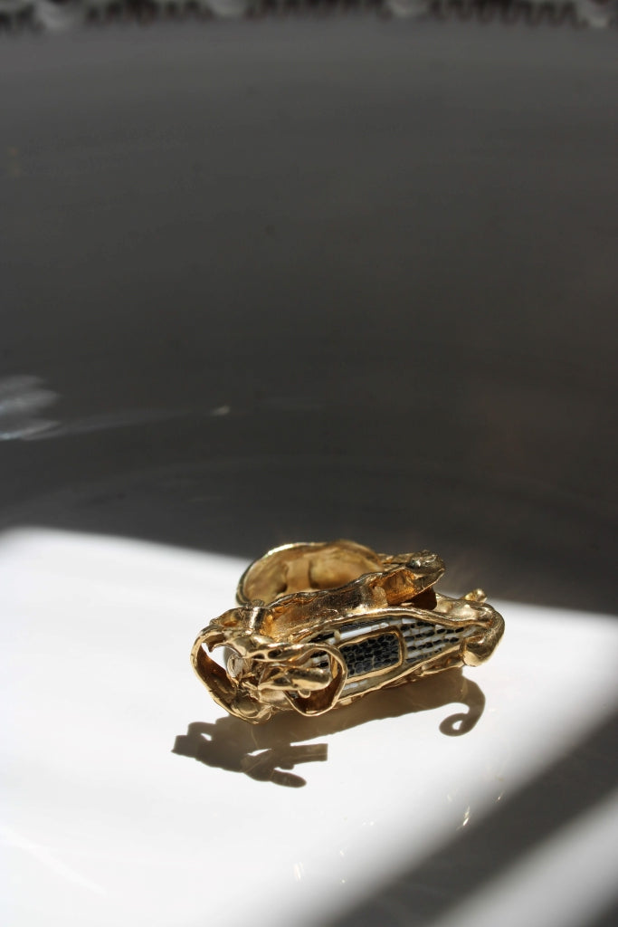 Nave di pietra |ring|