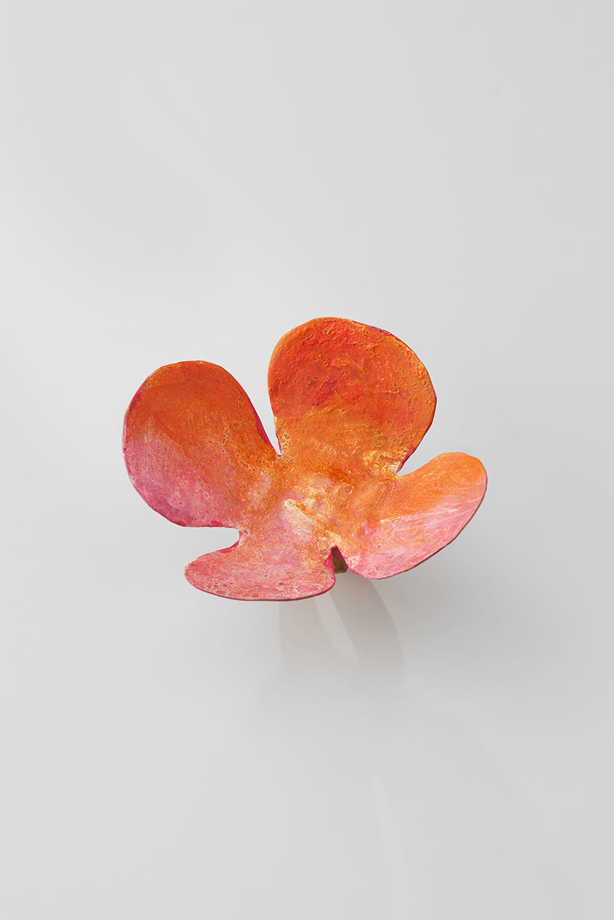 Blume in La Habana |Ring|