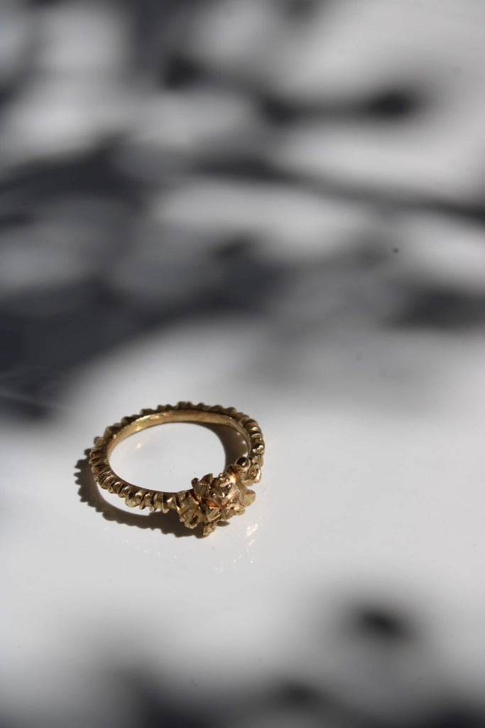 Kongosoha |Ring|