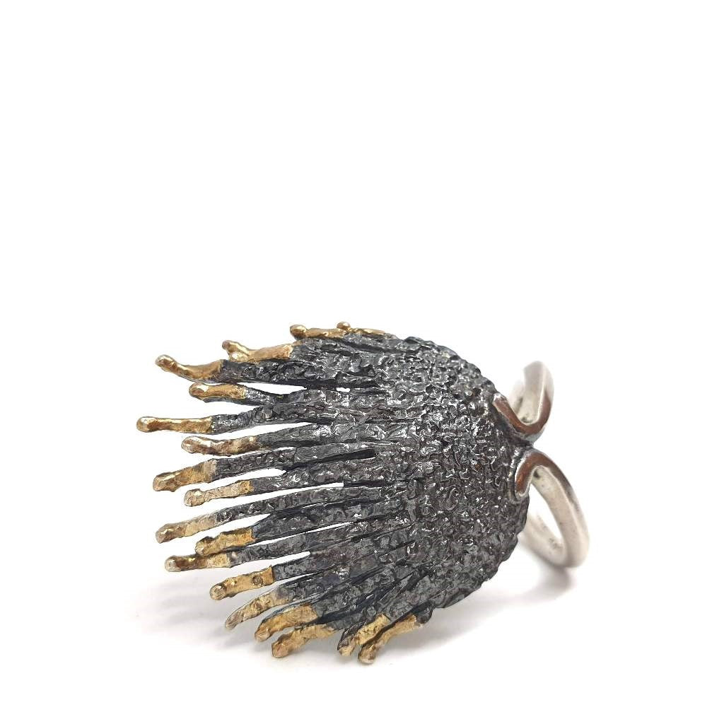 Coquillage Ring