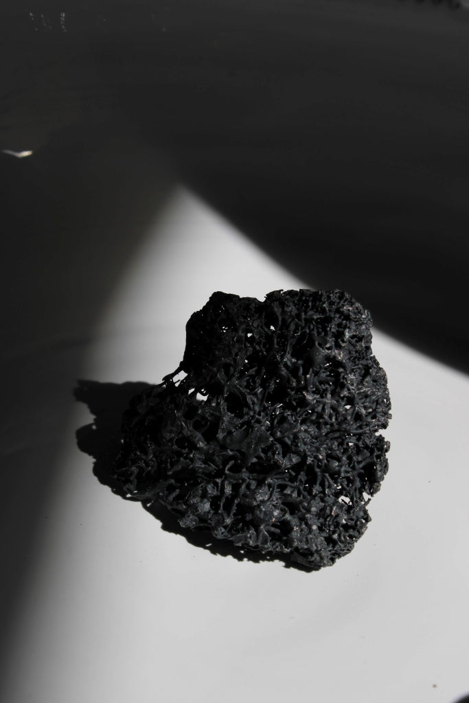 Liquen Brooch in Black - Unique Piece