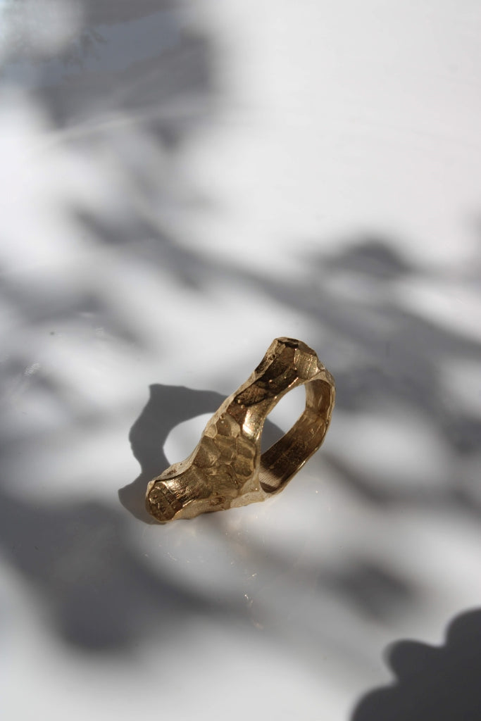 Earth from Space Ring
